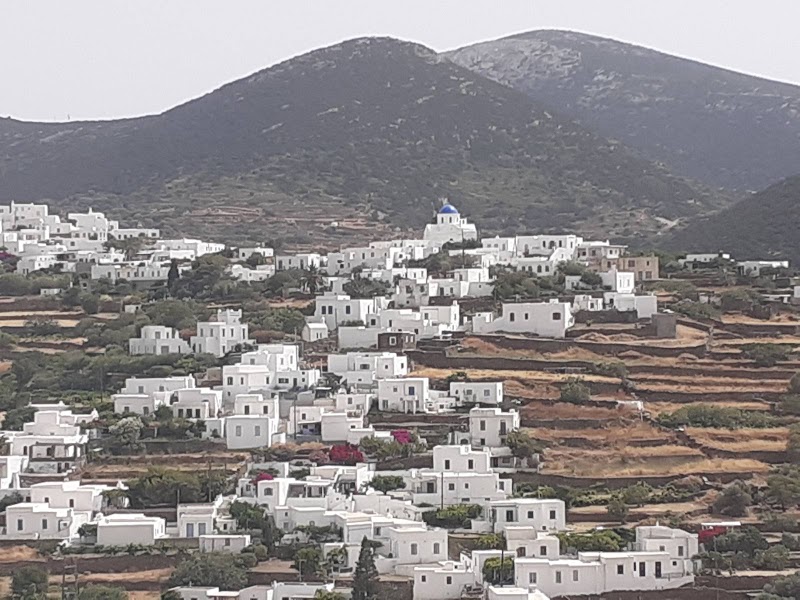 Apollonia