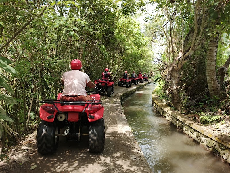 Ubud ATV Quad - Ubud ATV Quad Jl. Raya Singapadu No.10, Singapadu Kaler, Kec. Sukawati, Kabupaten Gianyar, Bali 80571, Indonesia