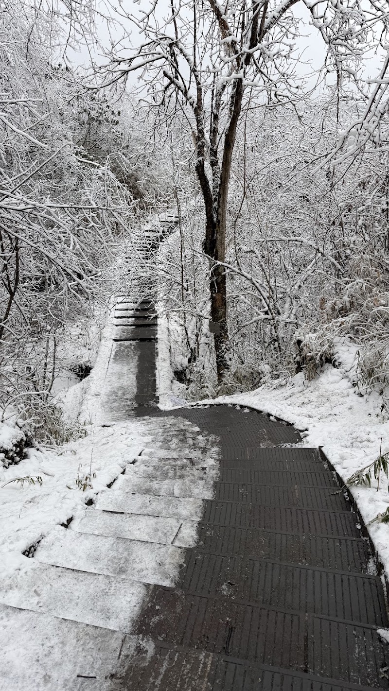 Xiling Snow Mountain Scenic Area - Xiling Snow Mountain Scenic Area, M655+FMW, Dayi County, Chengdu, Sichuan, China, 611346
