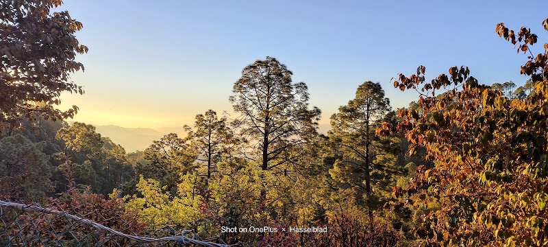 Gwaldam State - Gwaldam State, Uttarakhand, India