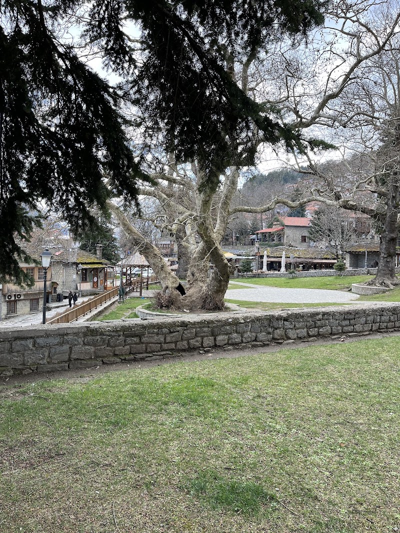 Metsovo - Metsovo Metsovo 442 00, Greece