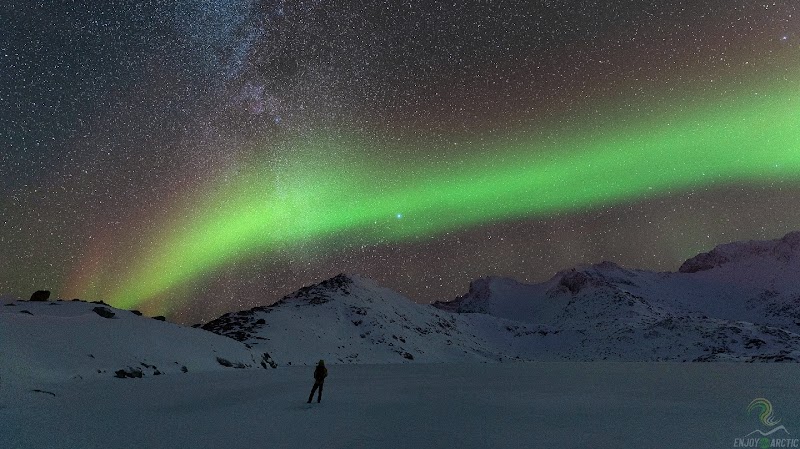 Enjoy the Arctic