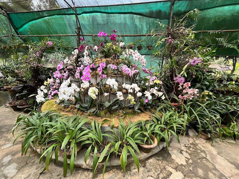 Kaziranga National Orchid and Biodiversity Park - Kaziranga National Orchid and Biodiversity Park NH NO 37, Hatikhuli T.E., Durgapur, Assam 785609, India