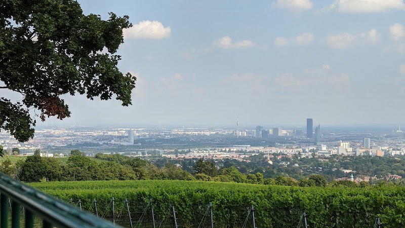 Cobenzl Aussicht - Cobenzl Aussicht Am Cobenzl 94, 1190 Wien, Austria