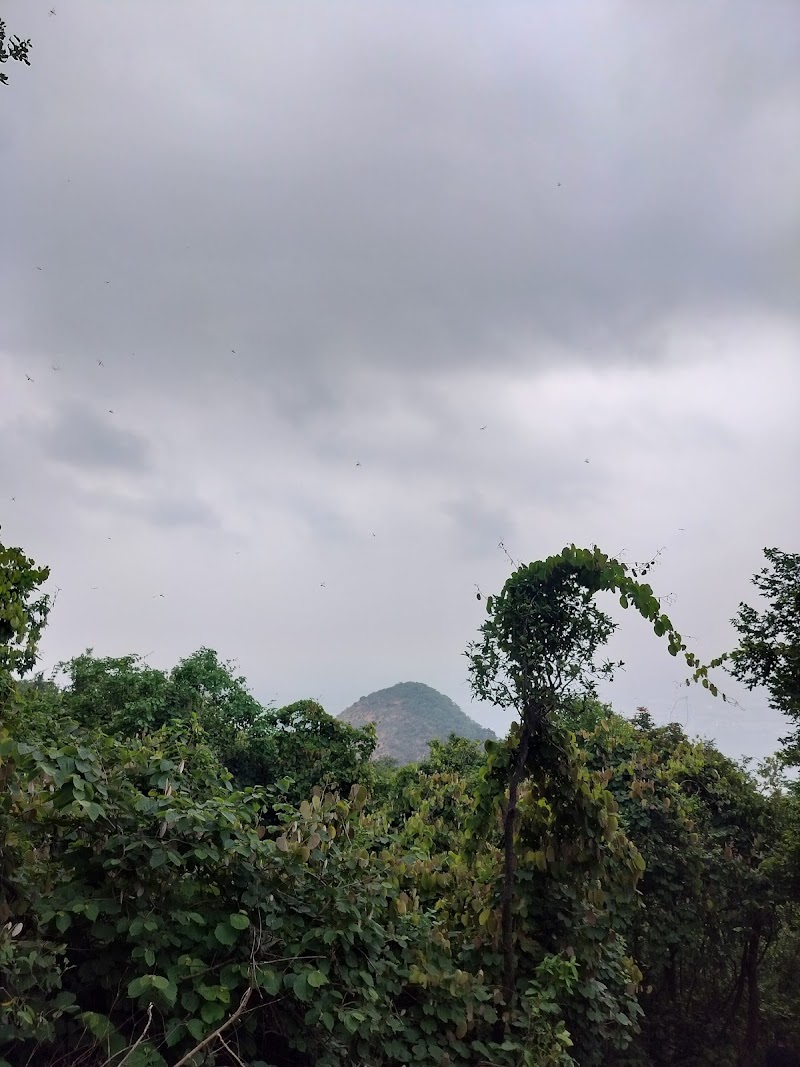 Dalha Pahad Peak Point - Dalha Pahad Peak Point, 3CX2+F58, Kosmanda, Chhattisgarh 495552, India