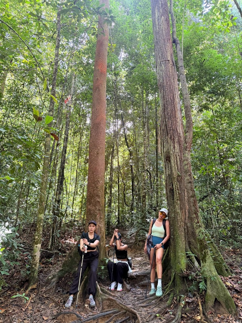 Dragon's Crest (Ngon Nak Nature Trail) - Dragon's Crest (Ngon Nak Nature Trail) Nong Thale, Mueang Krabi District, Krabi 81000, Thailand