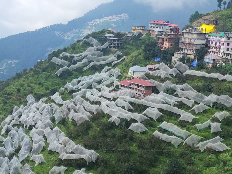 Chitkul - Chitkul Chitkul, Himachal Pradesh 172106, India