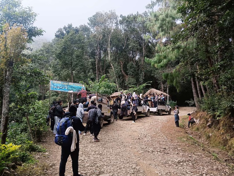 Dzükou Camp Site - Viswema - Dzükou Camp Site - Viswema Kepizu, 1Km From Highway, Viswema - Dzükou Vly Rd, Viswema, Nagaland 797006, India