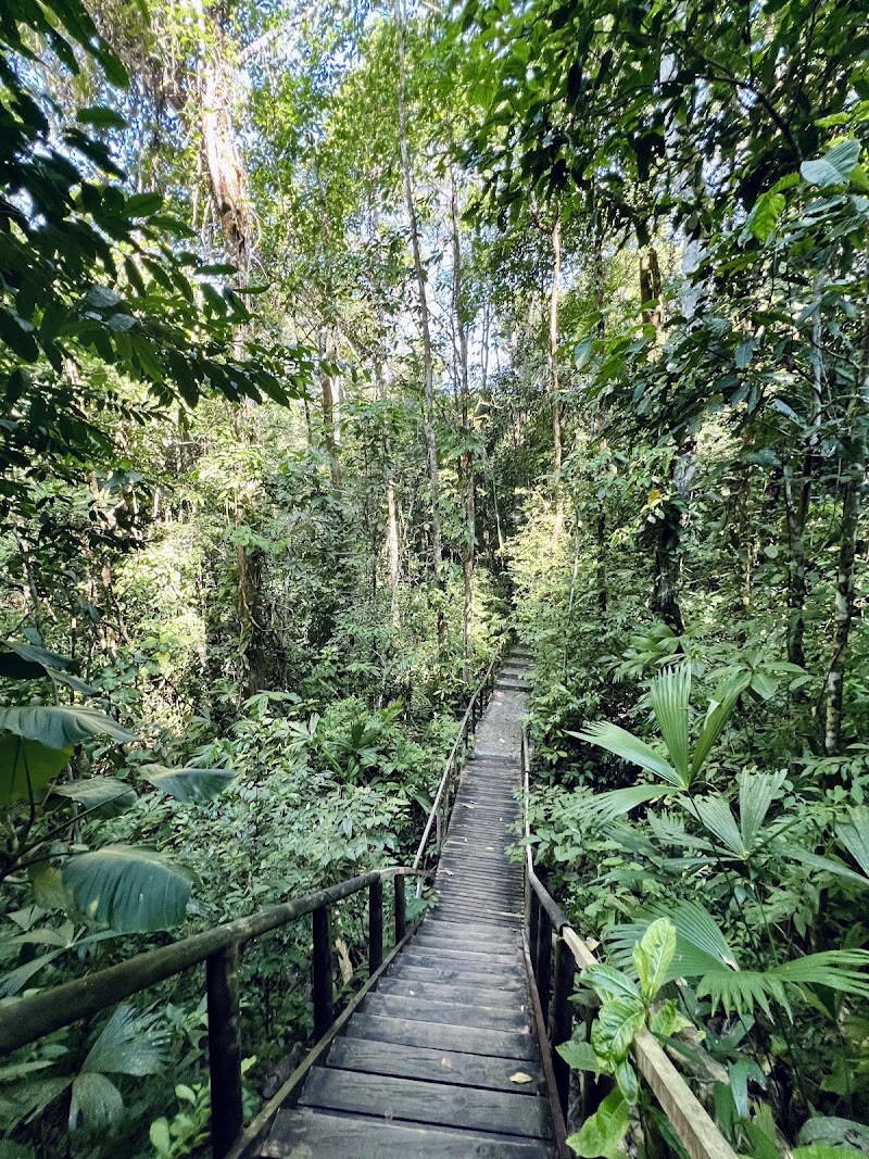 Manuel Antonio Nature Reserve & Wildlife Refuge - Manuel Antonio Nature Reserve & Wildlife Refuge, 9VR3+9WW Hotel Si Como No, Provincia de Puntarenas, Quepos, Costa Rica