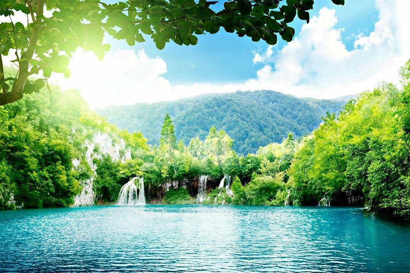 Than Bok Khorani National Park - Than Bok Khorani National Park, 2 2, Tambon Ao Luek Tai, Amphoe Ao Luek, Chang Wat Krabi 81110, Thailand