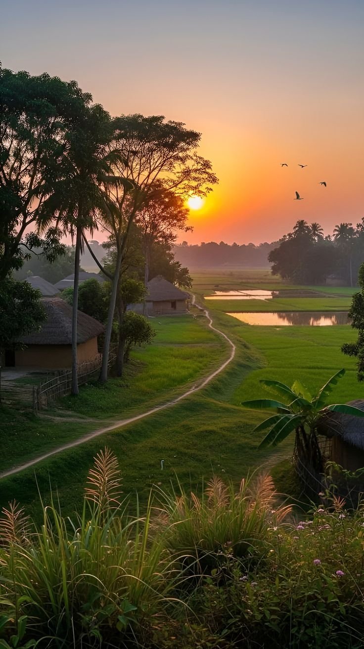 Kerala Tour Package - Kerala Tour Package, B- block, Virendar Nagar, Block B, Sant Nagar, Burari, New Delhi, Delhi, 110084, India