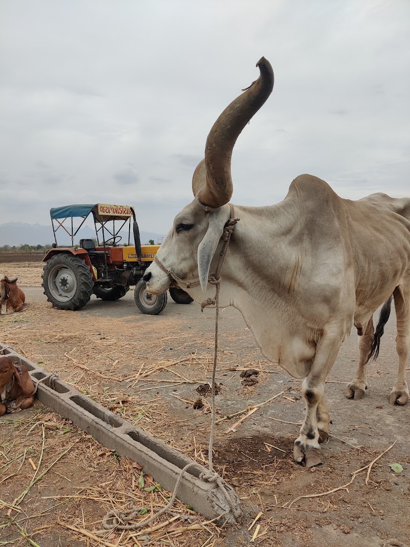 Virpur - Virpur, Gujarat 360380, India