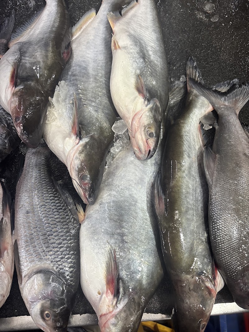 FRESH AND FRESH MEAT MART