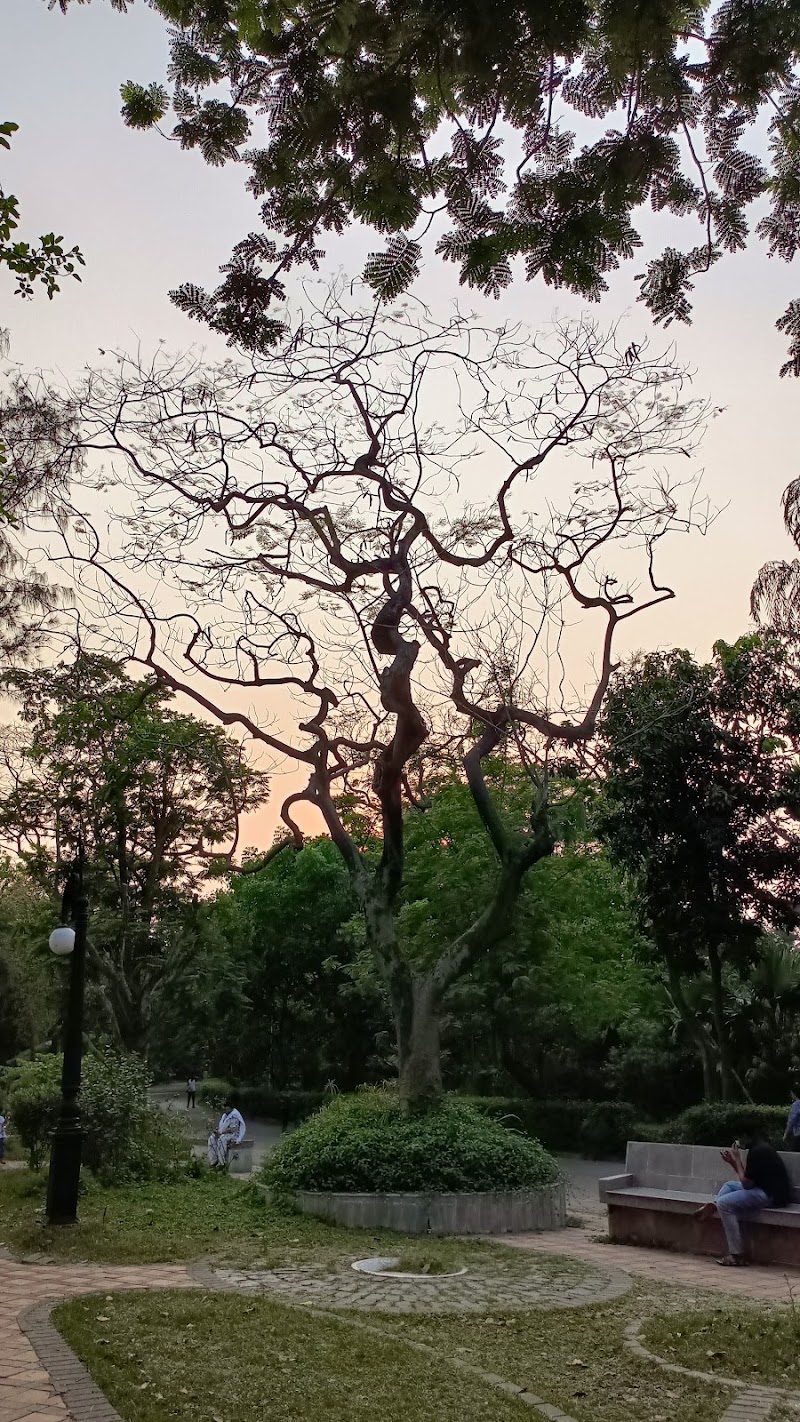 Rabindra Sarobar Lake - Rabindra Sarobar Lake G966+V5W, Southern Ave, Dhakuria, Rabindra Sarobar, Kolkata, West Bengal 700029, India