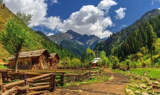 Gurez Valley - Gurez Valley, Forest Block 193503