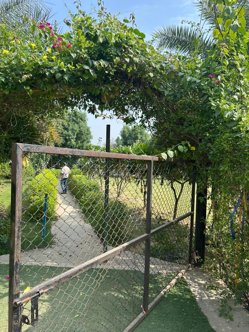 Glass villa - Glass villa C4CF+4G7, sector 58, Baliawas, Gurugram, Haryana 122011, India