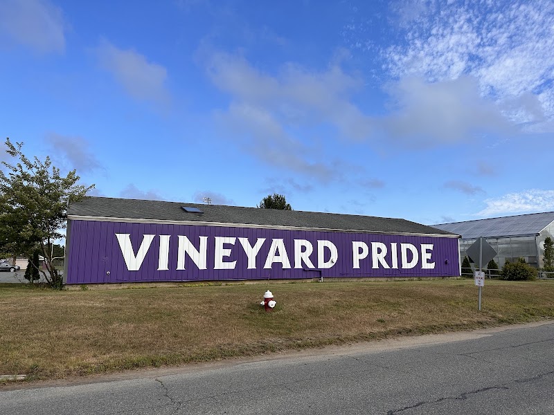 Martha’s Vineyard Performing Arts Center - Martha’s Vineyard Performing Arts Center 100 Edgartown Rd, Oak Bluffs, MA 02557, USA