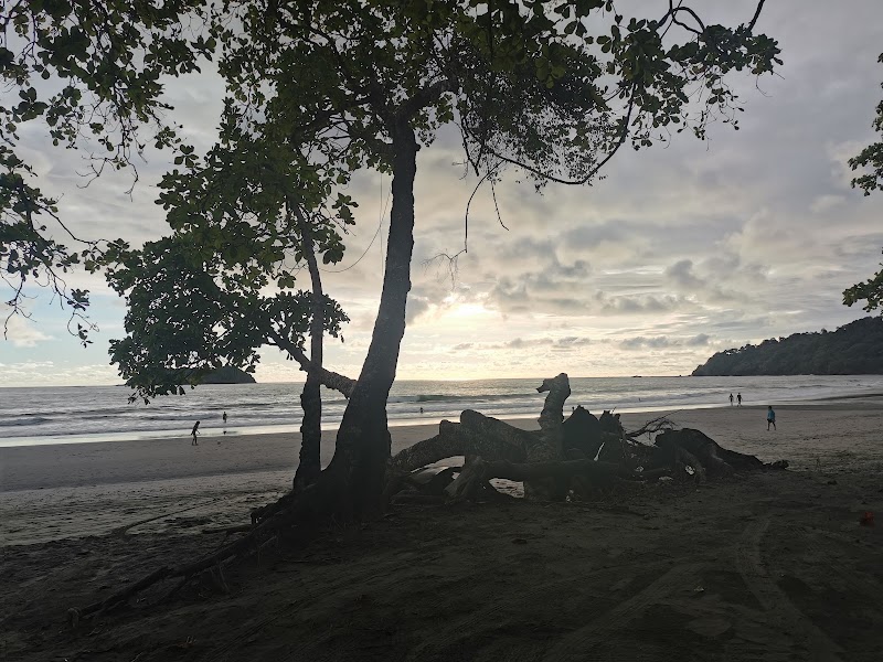 Manuel Antonio - Manuel Antonio Puntarenas Province, Quepos, Manuel Antonio, Costa Rica