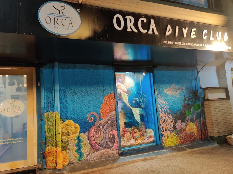 Orca Dive Club