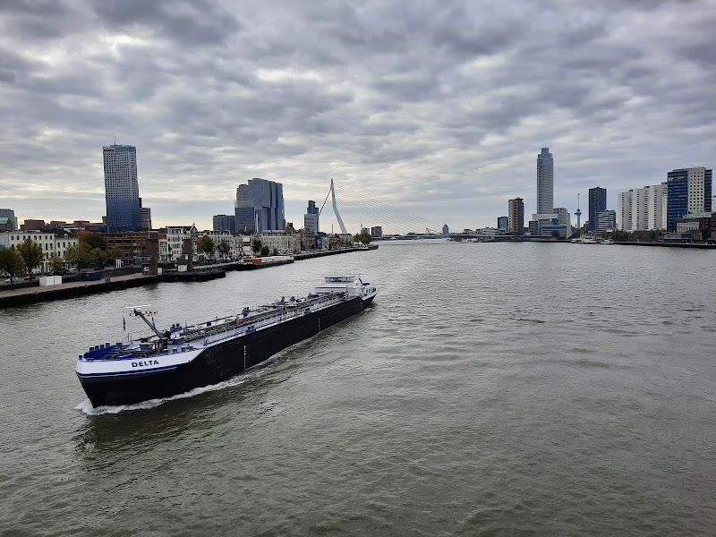 Nieuwe Maas - Nieuwe Maas, Netherlands