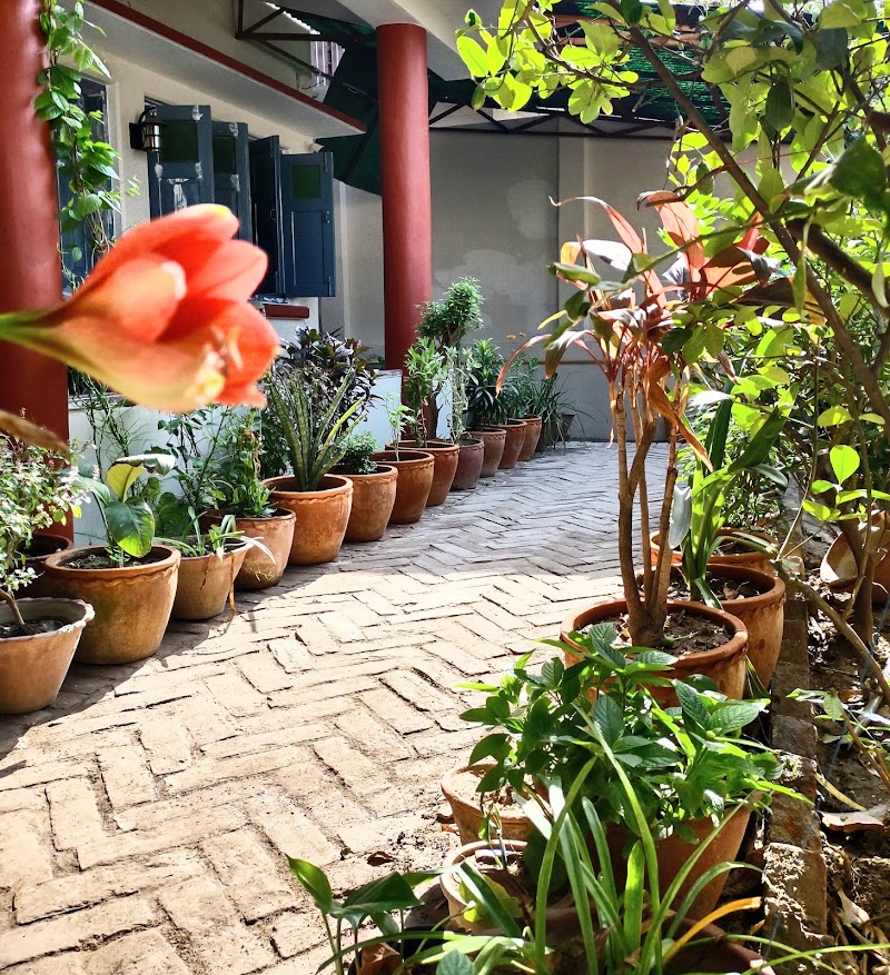 Cozy Escape Nest - Varanasi