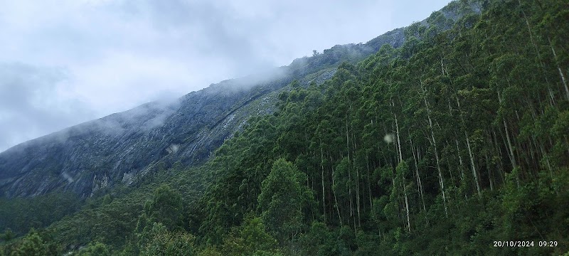 Bison valley - Bison valley, 24F9+HHJ, Udumbanchola, Keralam 685613, India