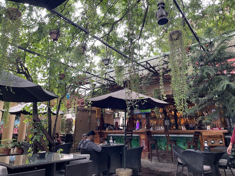 Walnut Bistro - Restaurant in Kathmandu - Walnut Bistro - Restaurant in Kathmandu Do-Cha Marga, Kathmandu 44600, Nepal