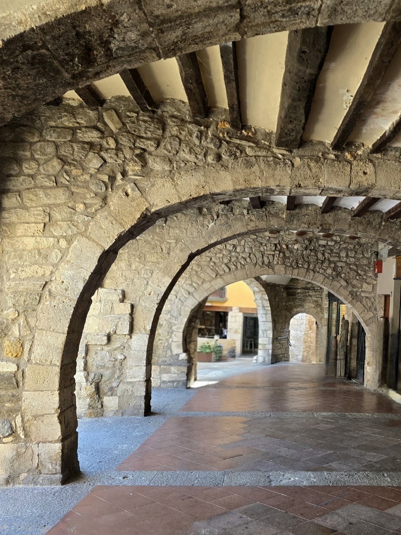 Besalú garrotxa - Besalú garrotxa Carrer Ganganell, 30, 17850 Besalú, Girona, Spain