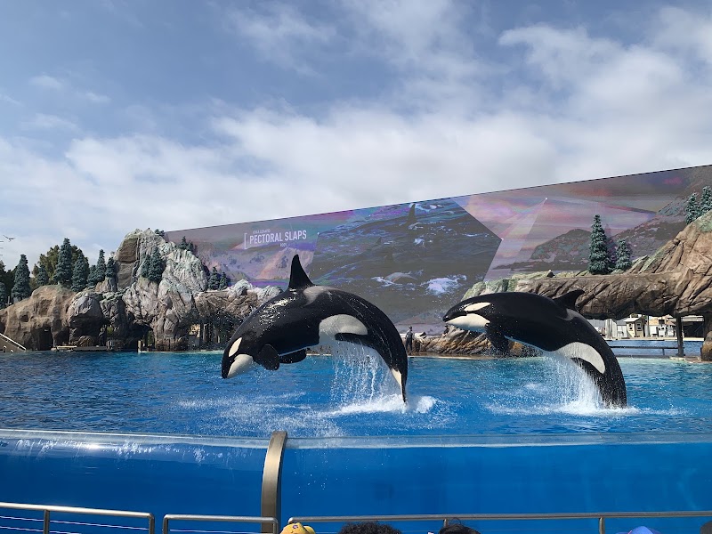 SeaWorld San Diego - SeaWorld San Diego 500 Sea World Dr., San Diego, CA 92109, USA