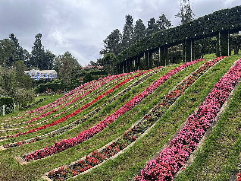 Karnataka Siri Horticulture Garden - Karnataka Siri Horticulture Garden Fern Hill, West Mere, CM2M+9GV, West Mere, Ooty, Tamil Nadu 643004, India