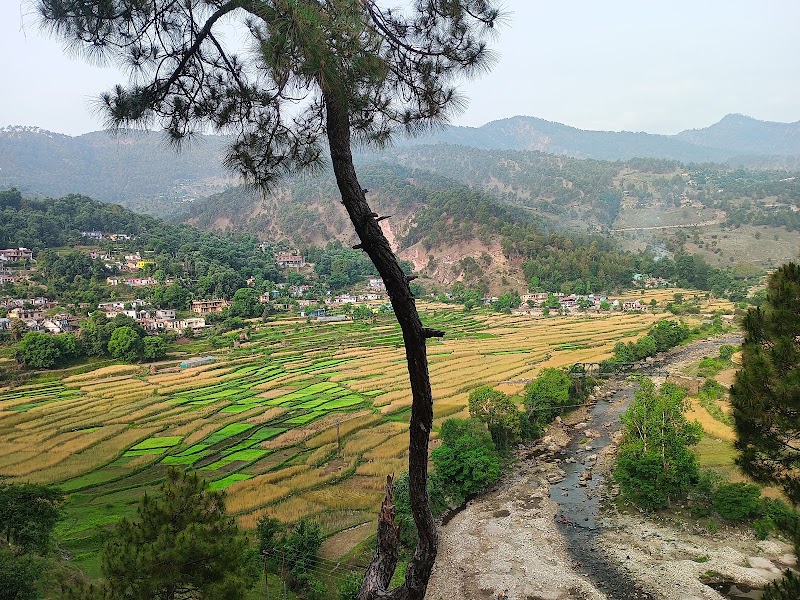Baijnath Bairaj - Baijnath Bairaj, Gomati, Baijnath, Uttarakhand 263641, India