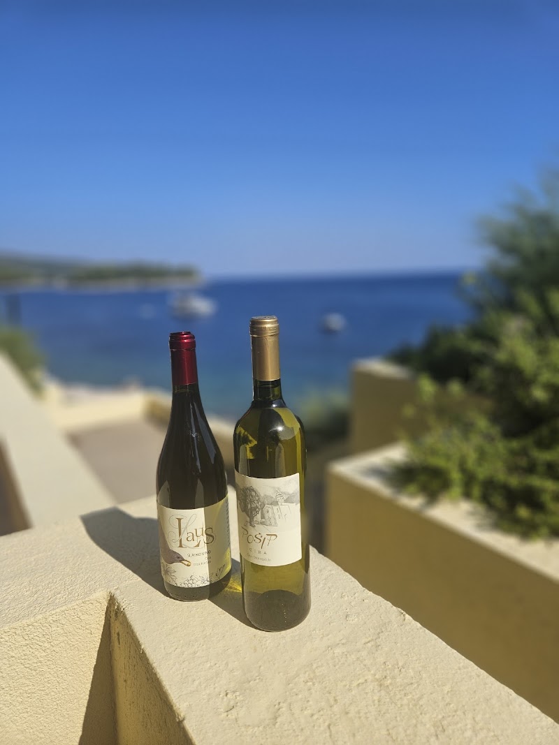 O.P.G. Laus - Winery - O.P.G. Laus - Winery, D118 202, 20273, Čara, Croatia