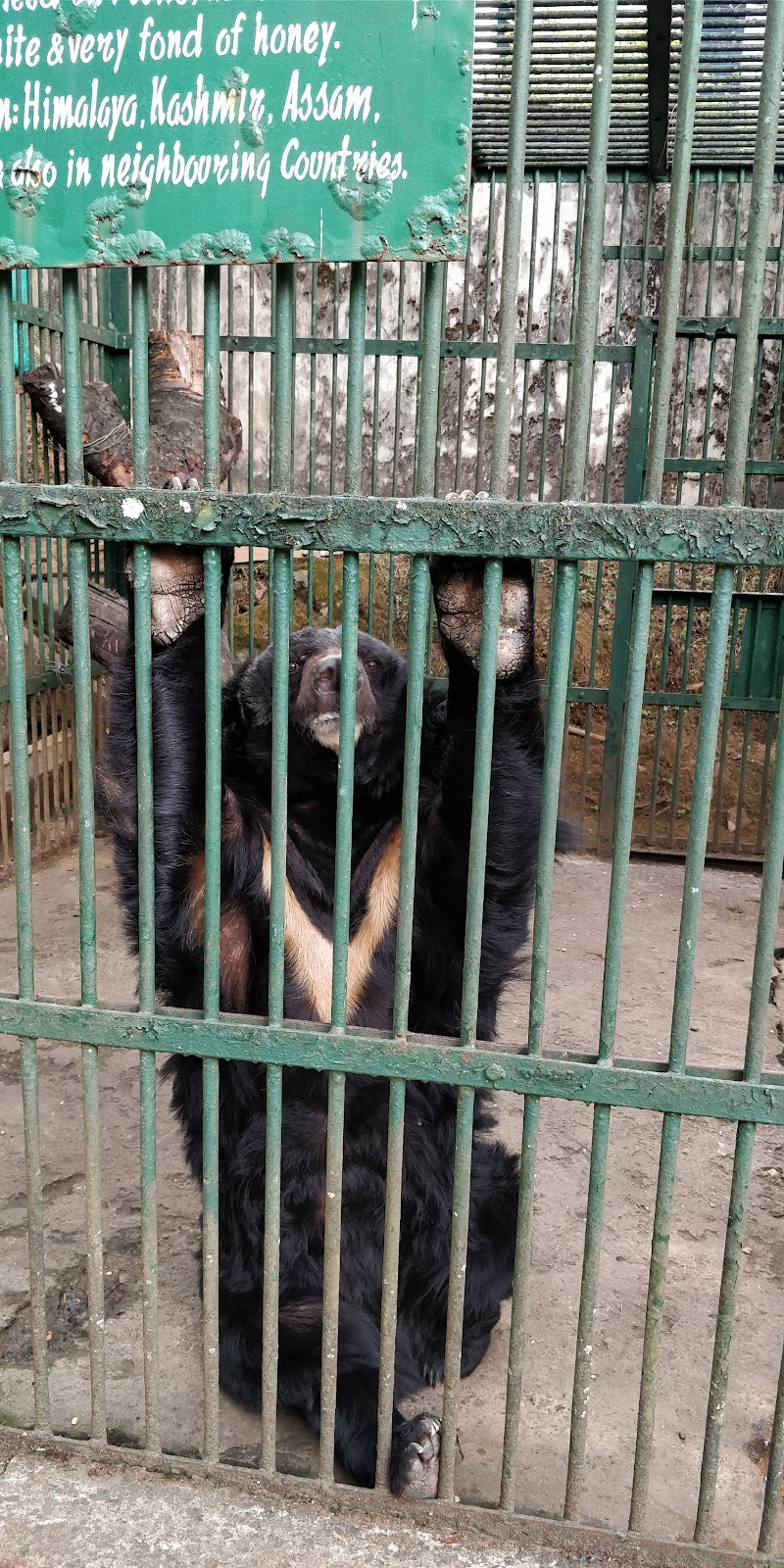 Lady Hydari Park - Lady Hydari Park Lower, Lachumiere, Shillong, Meghalaya 793001, India