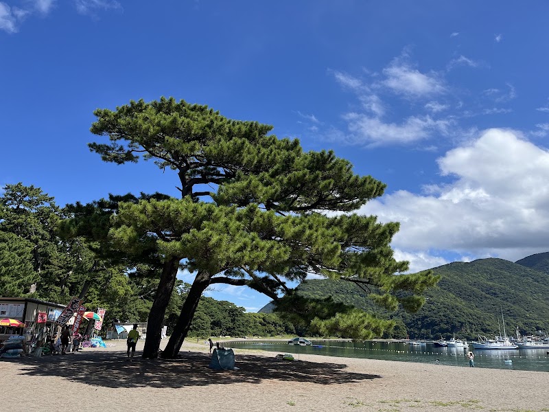 Mihama Beach - Mihama Beach, 2710 Heda, Numazu, Shizuoka 410-3402, Japan