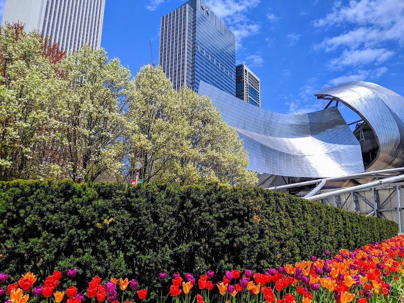 Millennium Park - Millennium Park Chicago, IL 60602, USA