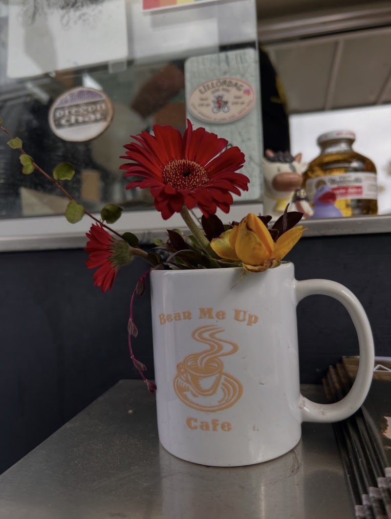 Bean Me Up Coffee - Bean Me Up Coffee, 2231 Sunset Cliffs Blvd, San Diego, CA 92107, USA