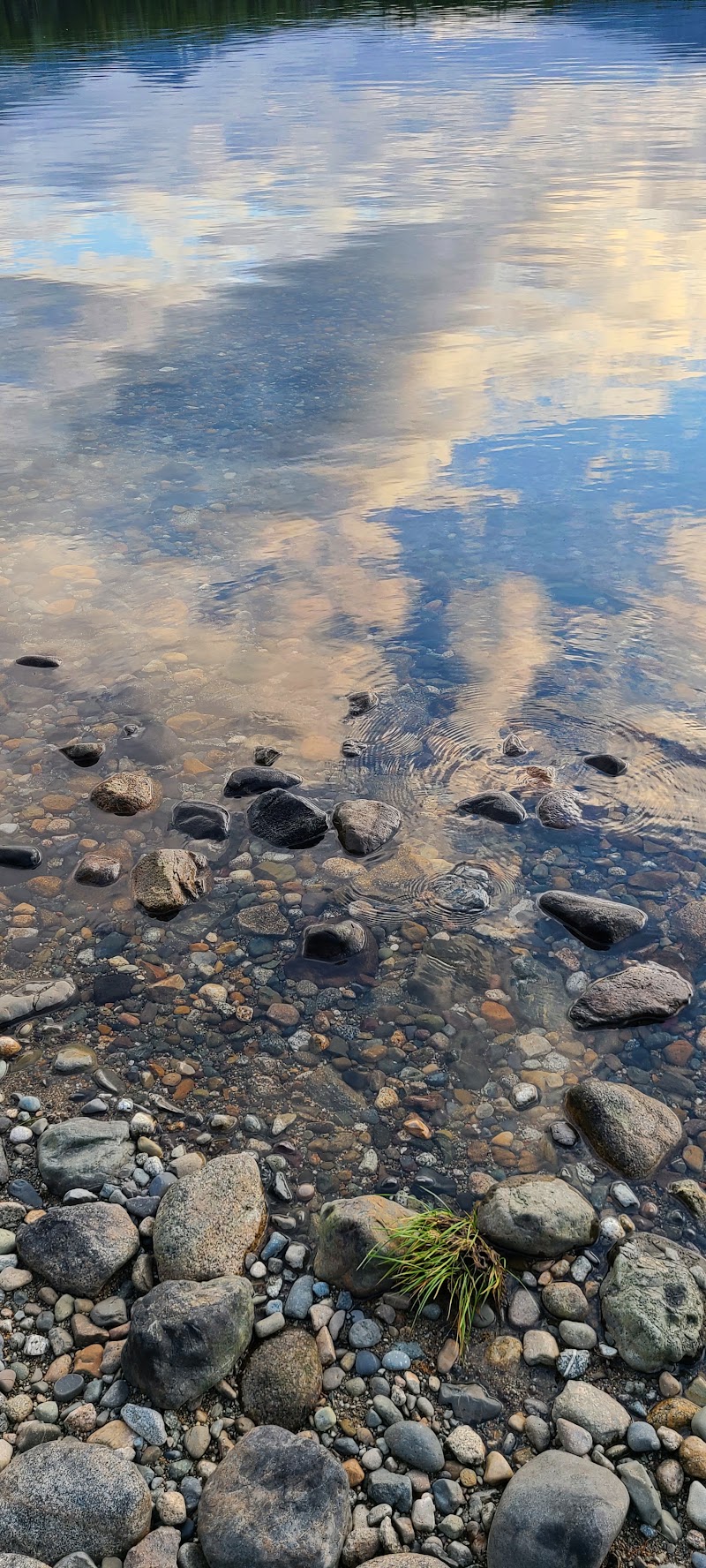 Charlotte Lake - Charlotte Lake Charlotte Lake, Cariboo, BC V0L 1R0, Canada