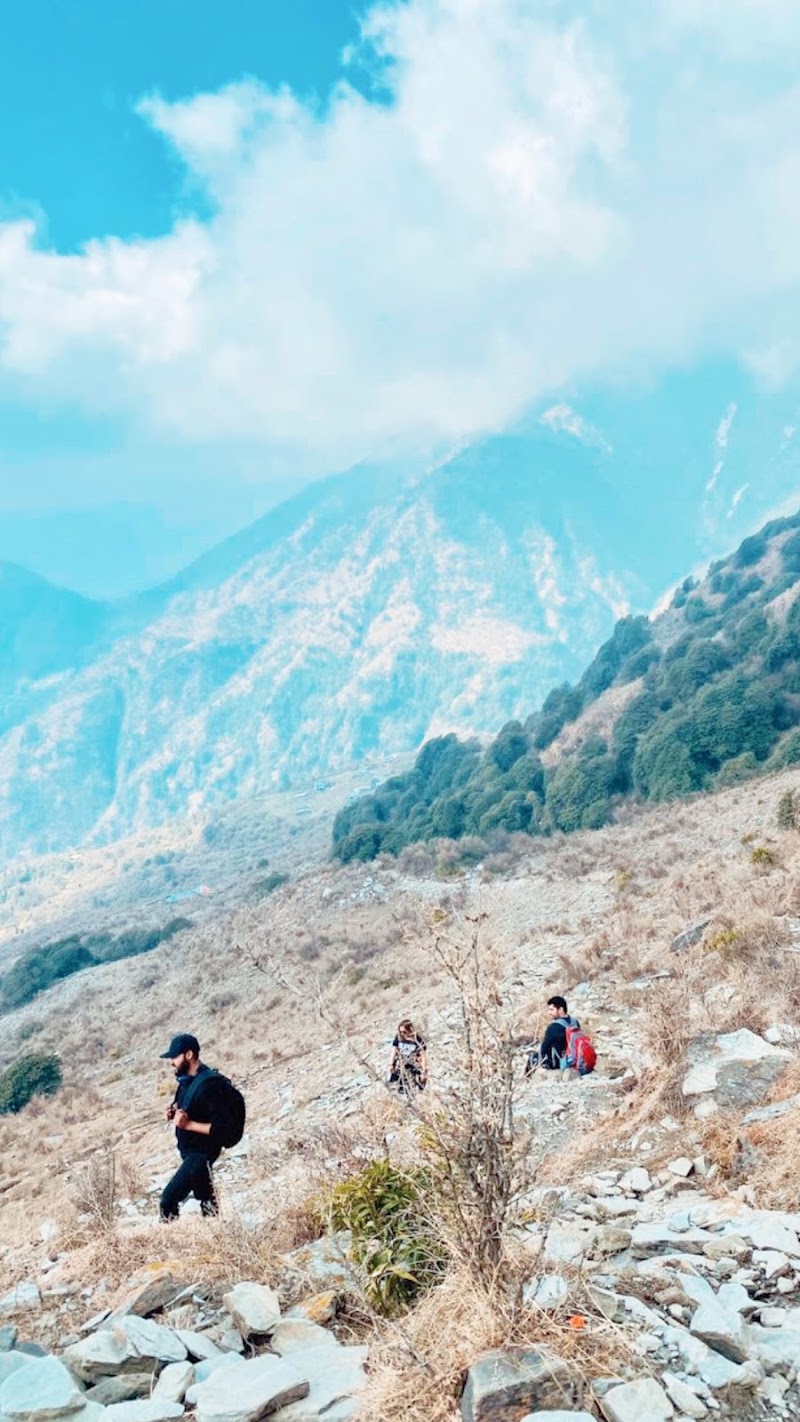 Black Swan Camps Triund - Black Swan Camps Triund Triund trail from Bhagsunag, Dharamshala, Himachal Pradesh 176216, India