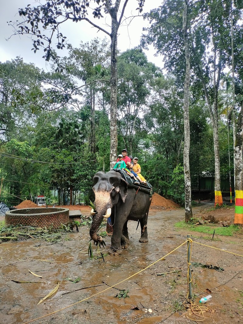 Munnar jeep safari explore (cabs) - Munnar jeep safari explore (cabs) police station, Near, dhanushkodi road, Nullatanni, Munnar, Kerala 685612, India