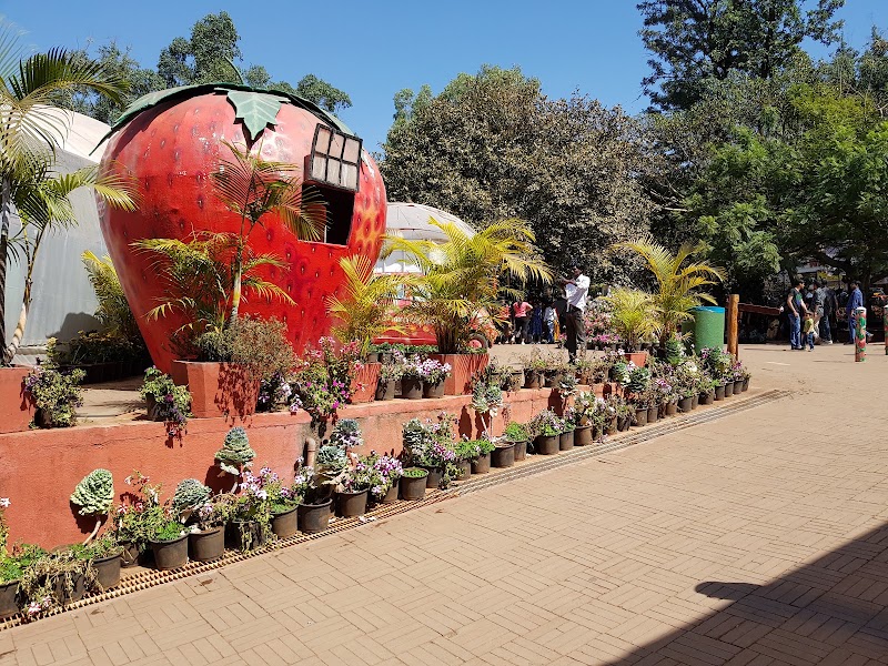 Mapro Garden - Mapro Garden 15/1B, Gureghar, Panchgani - Mahabaleshwar Rd, Mahabaleshwar, Gureghar, Maharashtra 412806, India