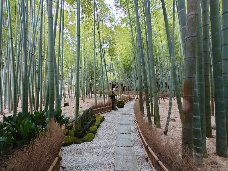 Houkokuji - Houkokuji 2-chōme-7-4 Jōmyōji, Kamakura, Kanagawa 248-0003, Japan