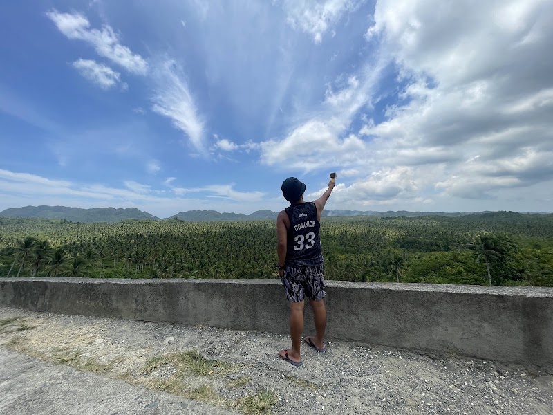 Coconut Road - Coconut Road, R383+RWW, Siargao Circumferential Rd, Pilar, Surigao del Norte, Philippines