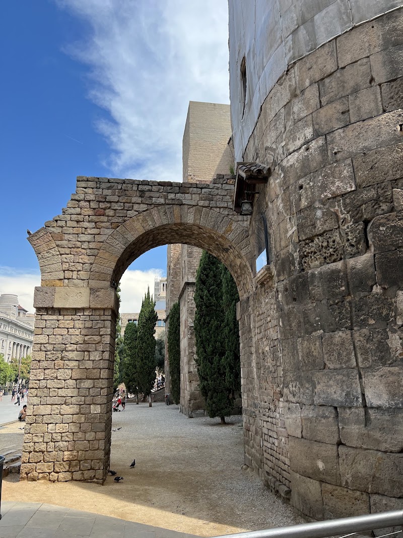 Roman Towers - Roman Towers Carrer del Bisbe, 12, Ciutat Vella, 08002 Barcelona, Spain
