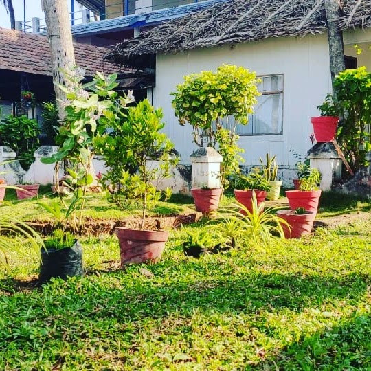 MUNNAR BOOKINGS, godaddybooking.com - MUNNAR BOOKINGS, godaddybooking.com Darshana Cottage Colony road Munnar, Near Darshana tires, bypass Road, Mattupetty, Munnar, Kerala 685612, India