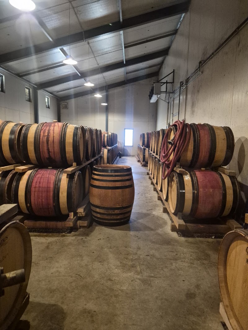 Discovery Wine Tours - Marlborough, Blenheim, Havelock, Picton, Renwick - Discovery Wine Tours - Marlborough, Blenheim, Havelock, Picton, Renwick, 8 Sinclair Street, Mayfield, Blenheim 7178, New Zealand