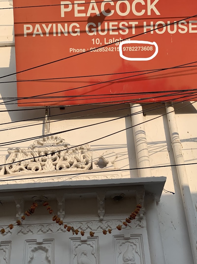 PEACOCK GUEST HOUSE :- LAKE VIEW HOTEL IN UDAIPUR - PEACOCK GUEST HOUSE :- LAKE VIEW HOTEL IN UDAIPUR, 10, Maji House, Lal Ghat Road, behind Jagdish Temple, Old City, Udaipur, Rajasthan 313004, India