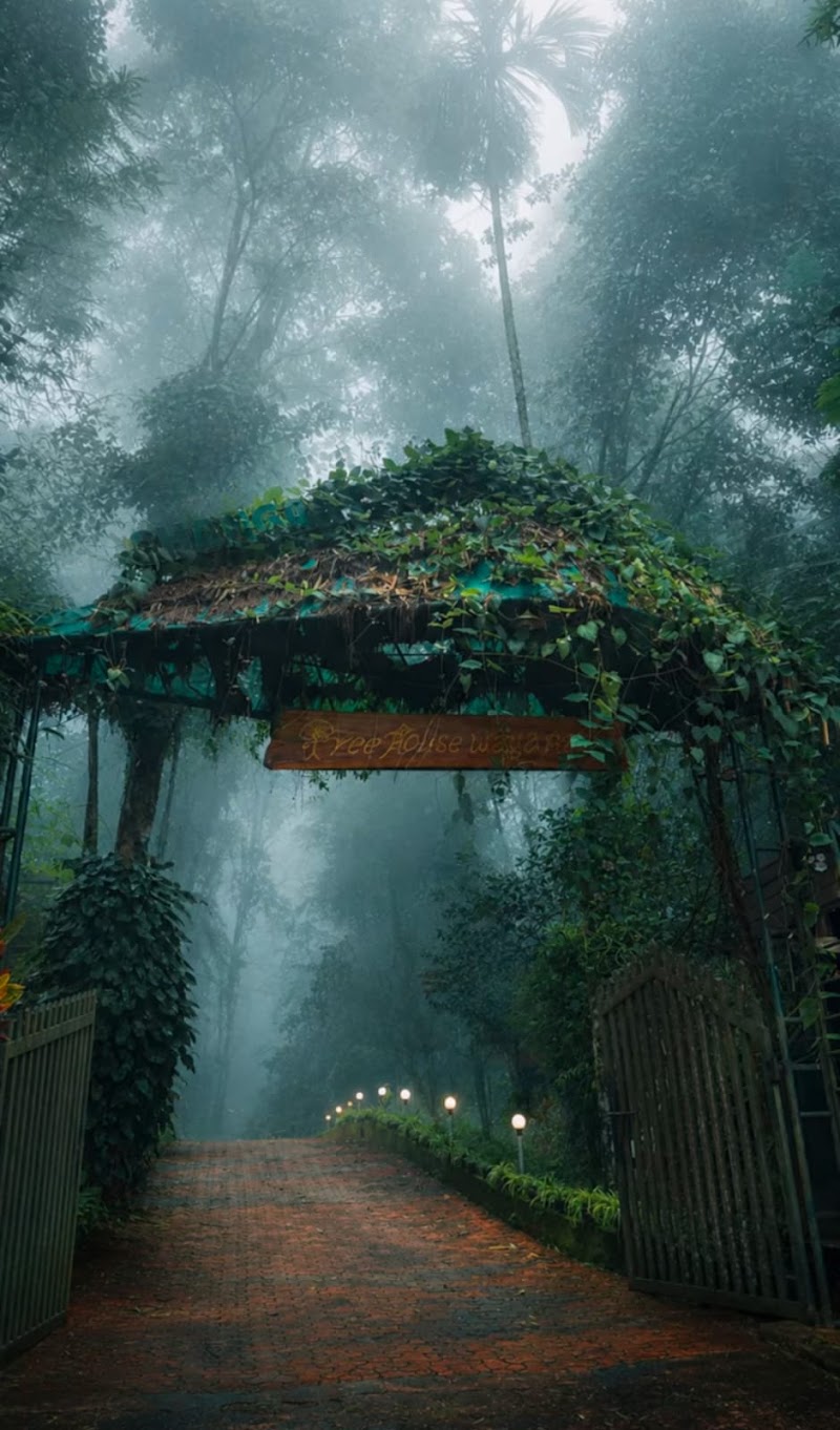 Tree House Wayanad - Tree House Wayanad Tree house Check post Mukkuthikunnu p o, wayanad take left, near noolpuzha, before, Sultan Bathery, Kerala 673595, India