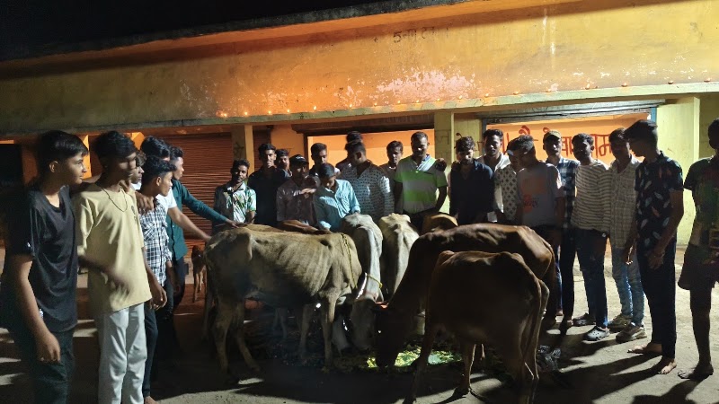 Gau seva hathnewra - Gau seva hathnewra, XMQH+5M8, Hathnewra, Chhattisgarh 495671, India