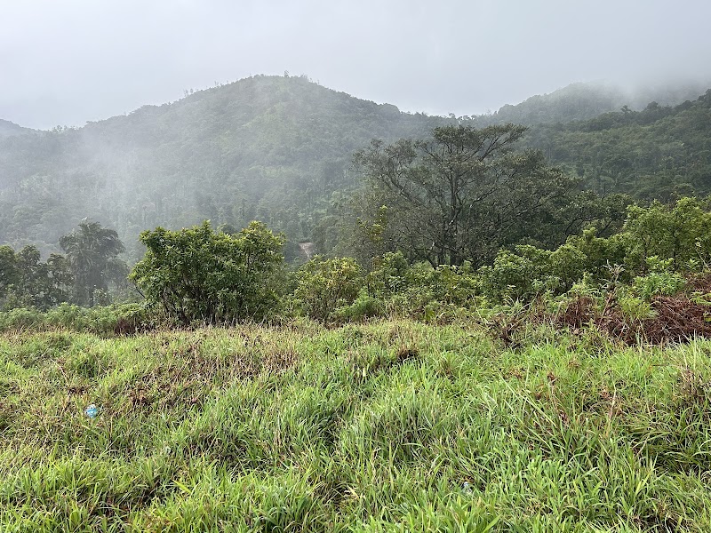 Tintin Meadows View Point - Tintin Meadows View Point VQ54+G3, Haragarahalli, Karnataka 573134, India