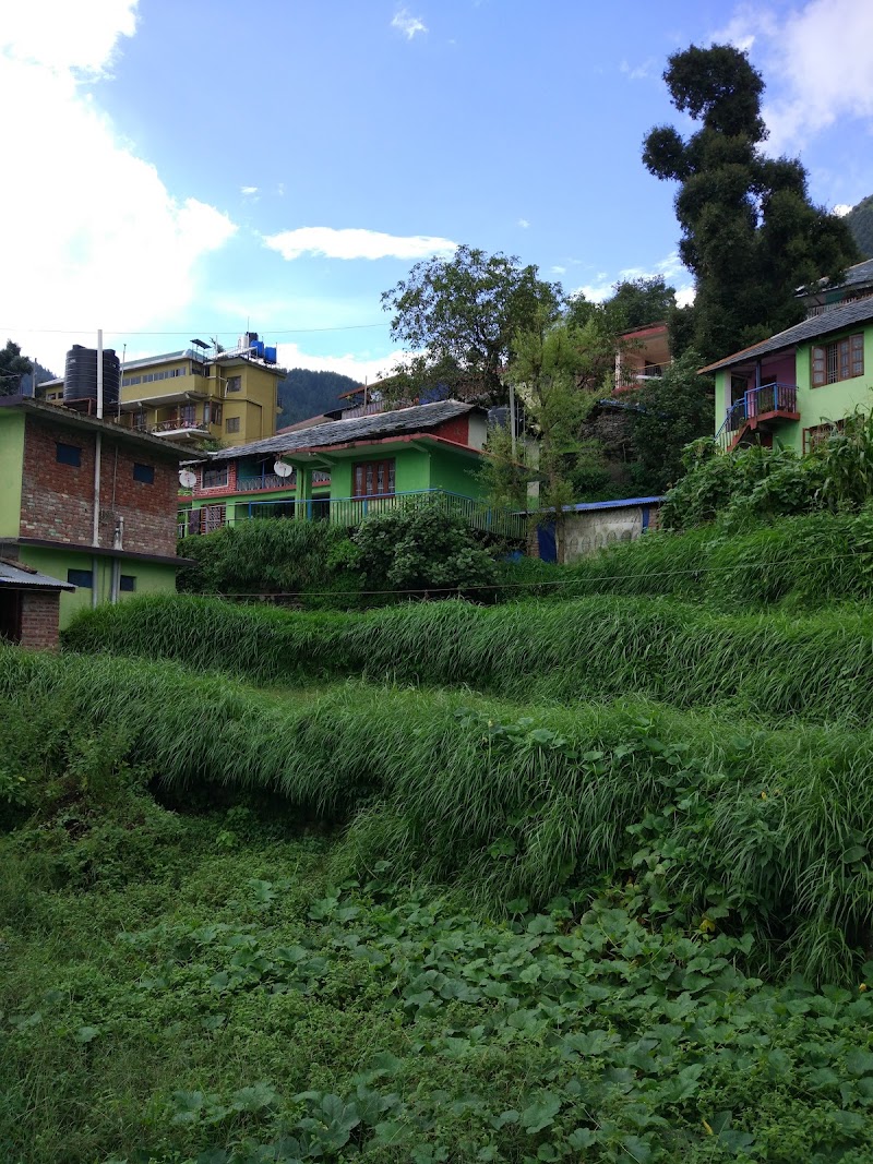 Bhagsunag Road - Bhagsunag Road, Bhagsunag Rd, McLeod Ganj, Dharamshala, Himachal Pradesh, India